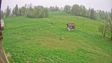 Le Haut Sajeais Blanc